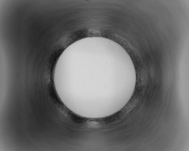 X0000086910706200705141702