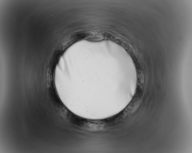 X0000086910707200705141702