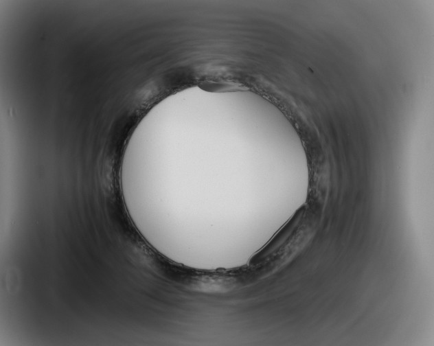 X0000086910708200705141702