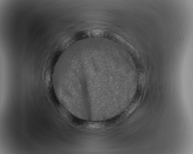 X0000086910709200705141702