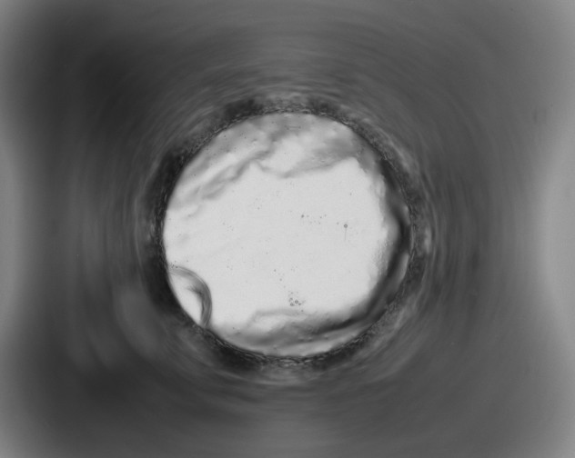 X0000086910711200705141702