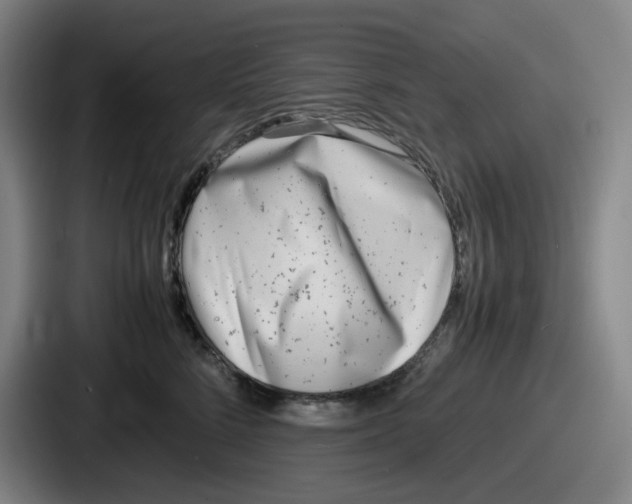 X0000086910712200705141702