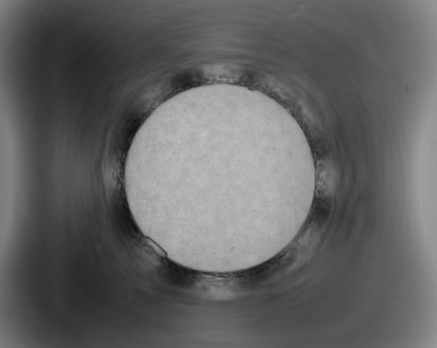 X0000086910713200705141702