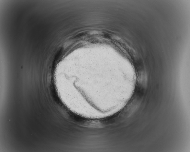 X0000086910715200705141702