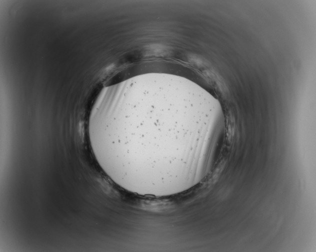 X0000086910716200705141702