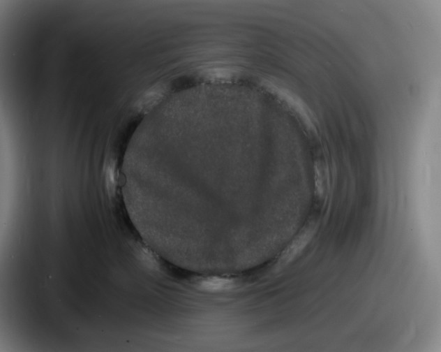 X0000086910718200705141702