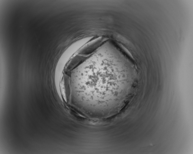 X0000086910720200705141702