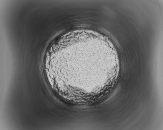 X0000086910721200705141702