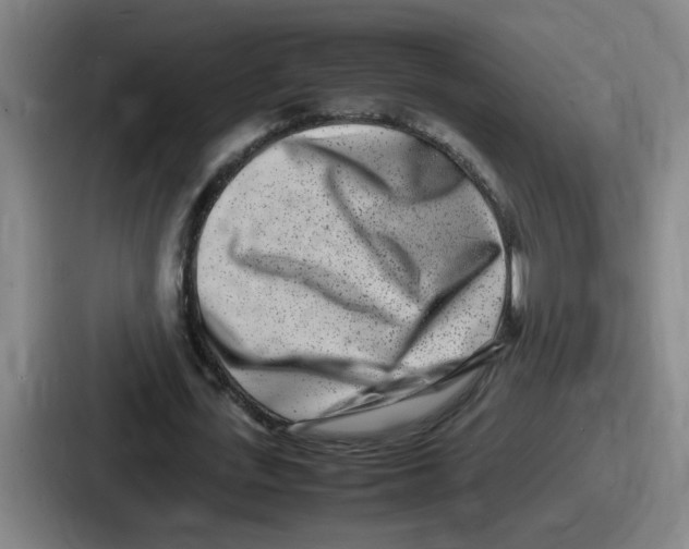 X0000086910723200705141702