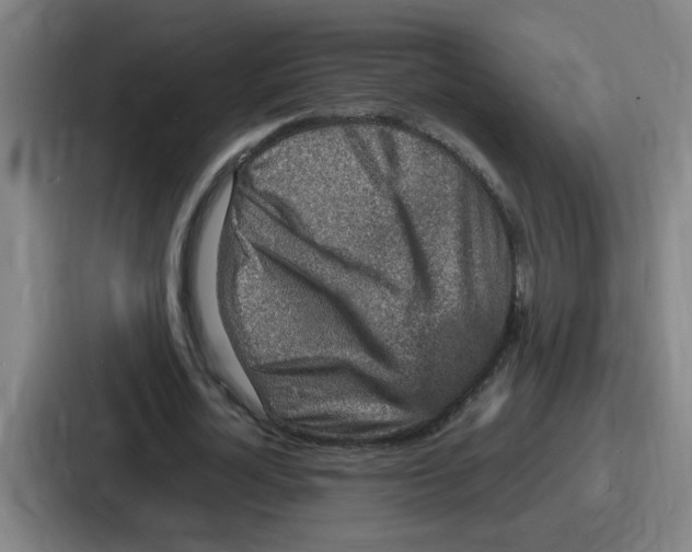 X0000086910724200705141702