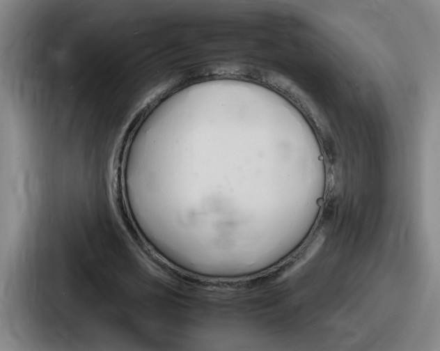 X0000086910725200705141702