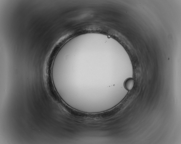 X0000086910727200705141702