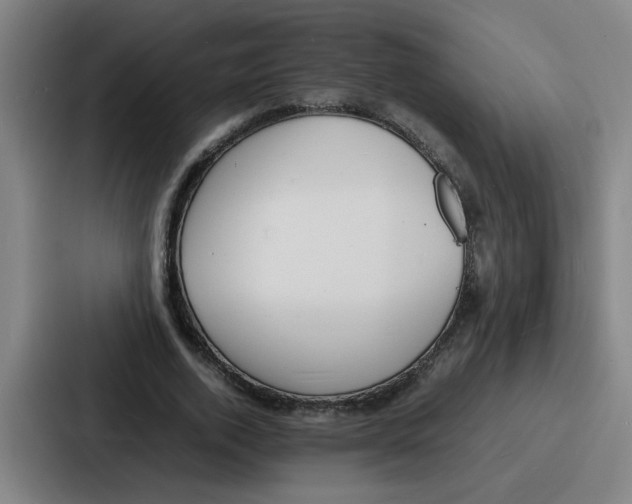 X0000086910728200705141702