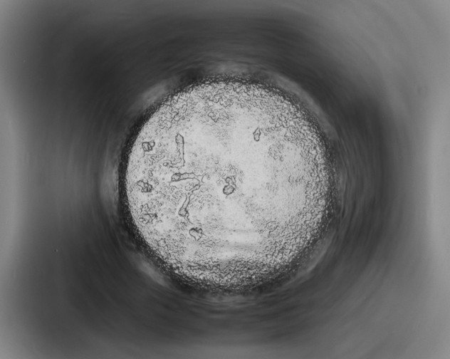 X0000086910729200705141702