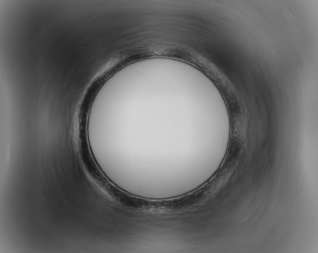 X0000086910730200705141702