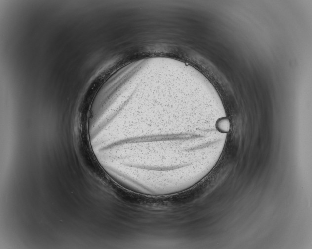 X0000086910731200705141702