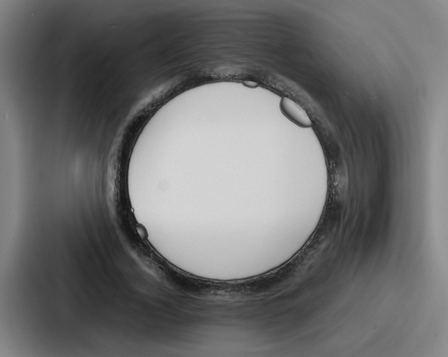 X0000086910732200705141702