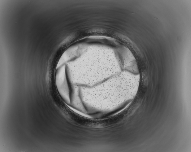 X0000086910735200705141702