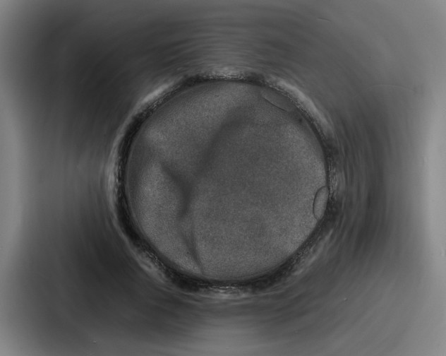 X0000086910736200705141702