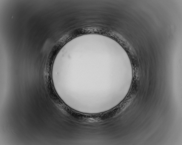 X0000086910737200705141702