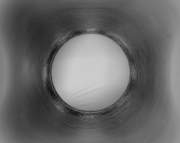 X0000086910740200705141702