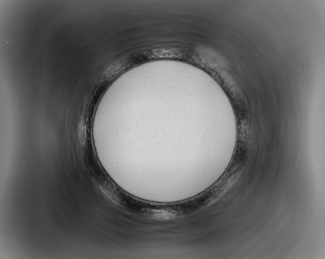 X0000086910741200705141702