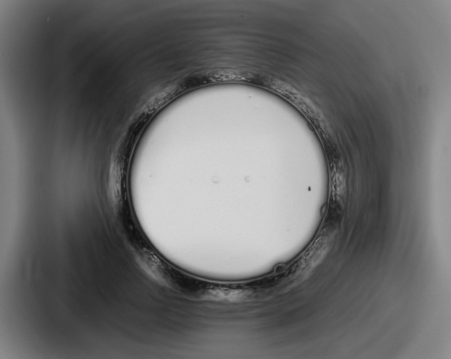 X0000086910742200705141702