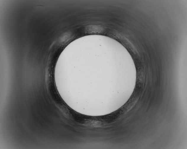 X0000086910743200705141702