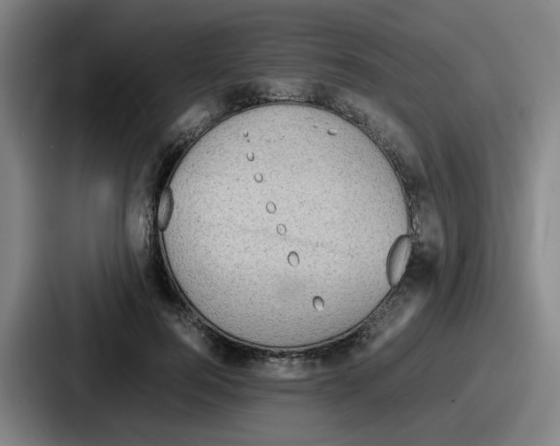 X0000086910744200705141702