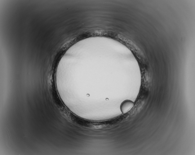 X0000086910746200705141702