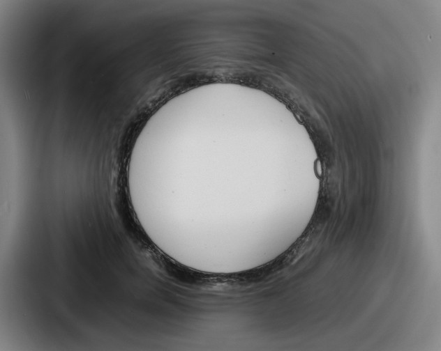 X0000086910750200705141702