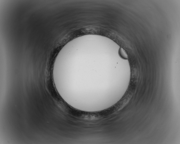 X0000086910751200705141702