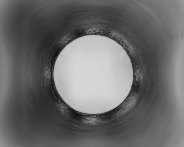 X0000086910753200705141702