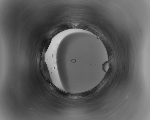 X0000086910754200705141702