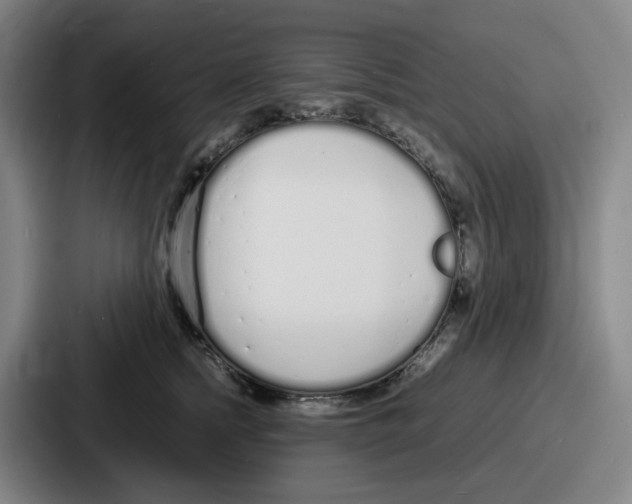 X0000086910758200705141702