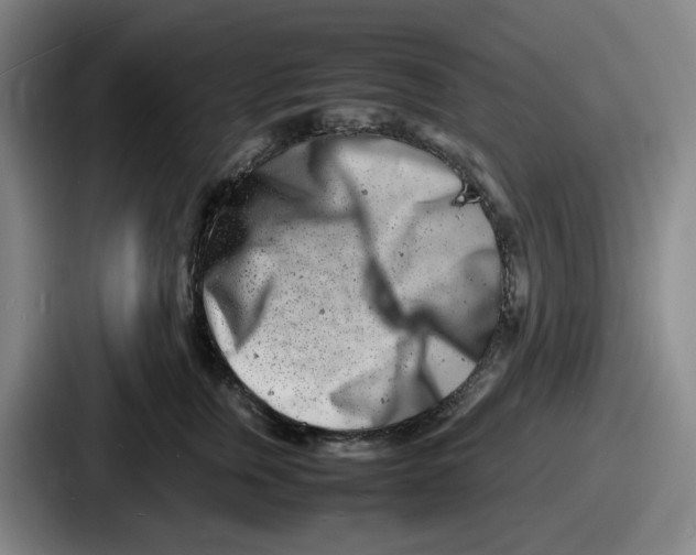 X0000086910759200705141702