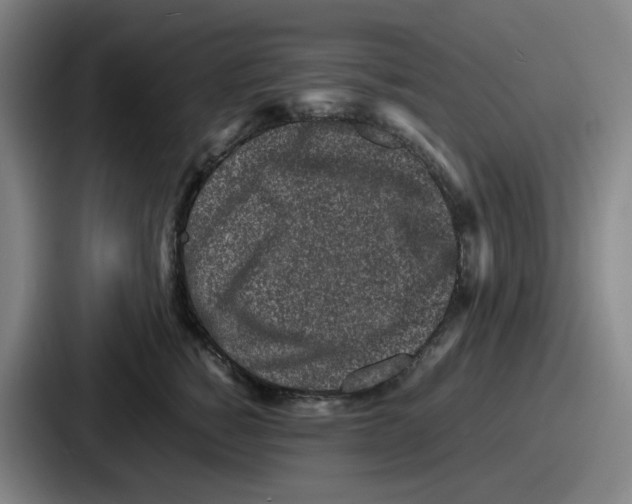 X0000086910760200705141702