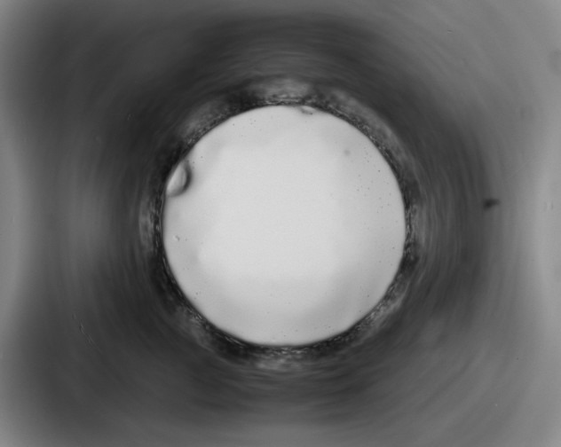 X0000086910761200705141702