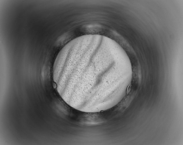 X0000086910762200705141702