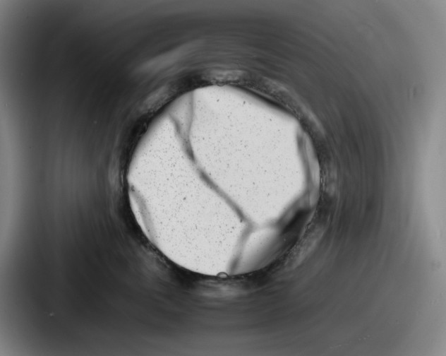 X0000086910763200705141702