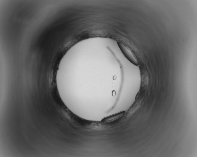 X0000086910764200705141702