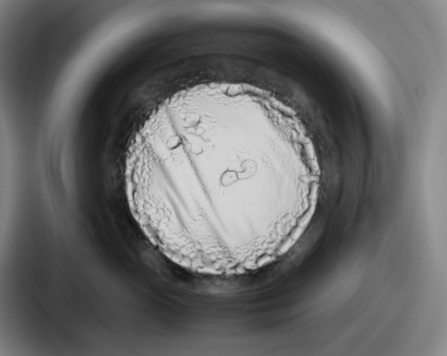 X0000086910765200705141702