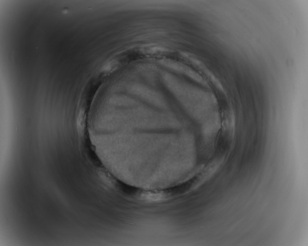 X0000086910767200705141702