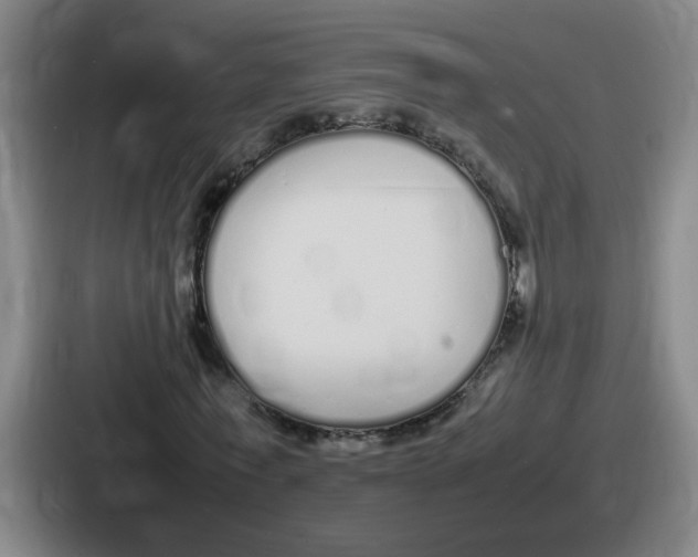 X0000086910771200705141702