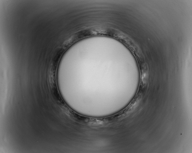 X0000086910772200705141702