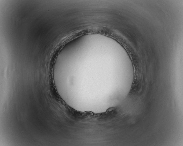 X0000086910773200705141702