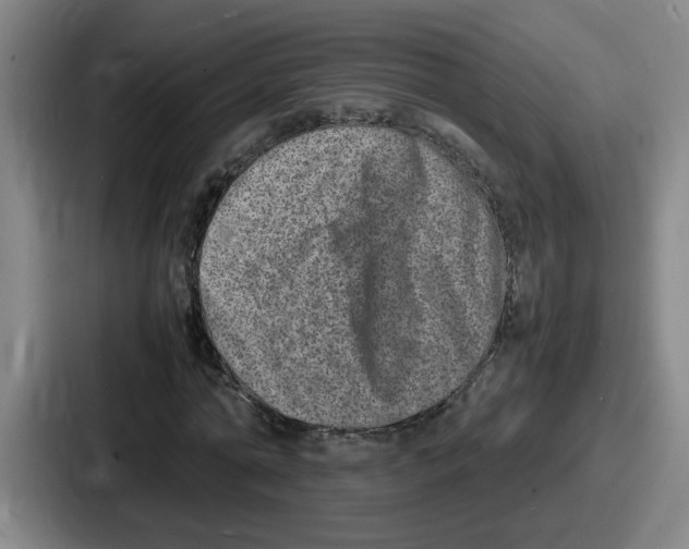 X0000086910774200705141702