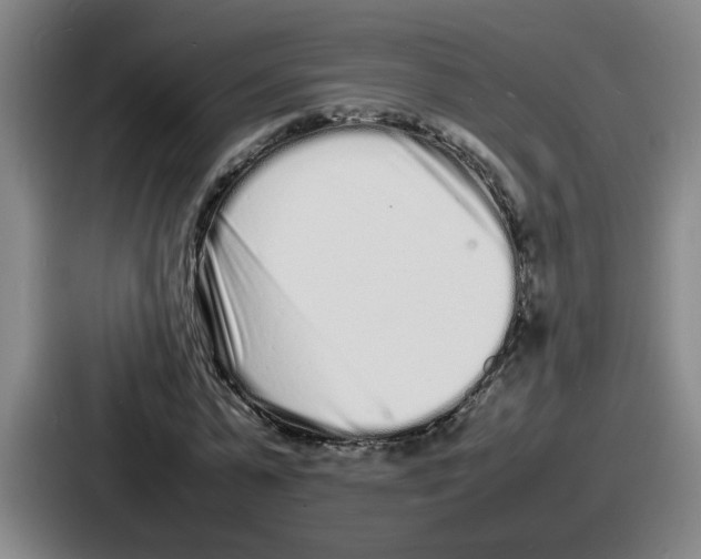 X0000086910775200705141702