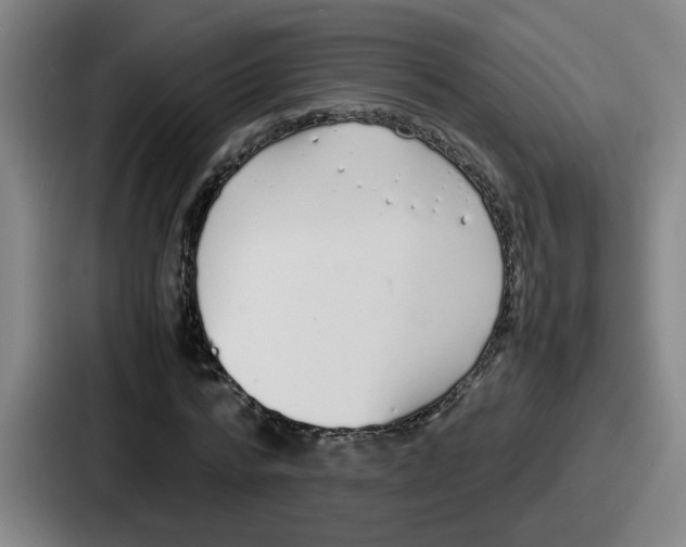 X0000086910776200705141702