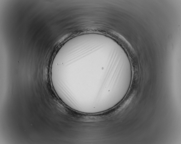 X0000086910777200705141701